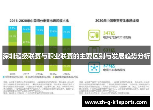深圳超级联赛与职业联赛的主要区别与发展趋势分析